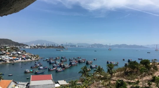 ウミガメ触れ合い と 餌やり体験+シュノーケリング